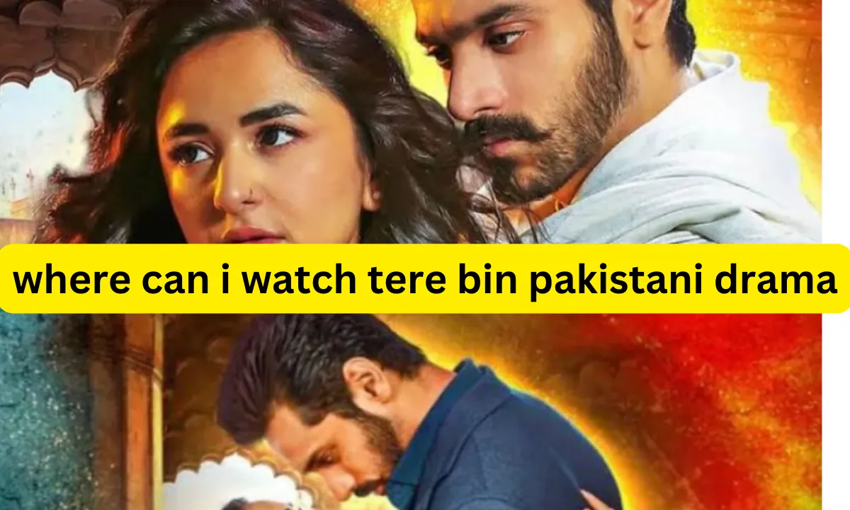 where can i watch tere bin pakistani drama